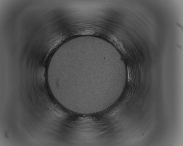 X0000091940300200710031122