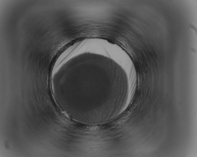 X0000091940301200710031122