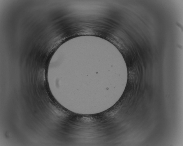 X0000091940302200710031122