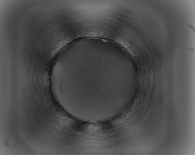 X0000091940303200710031122