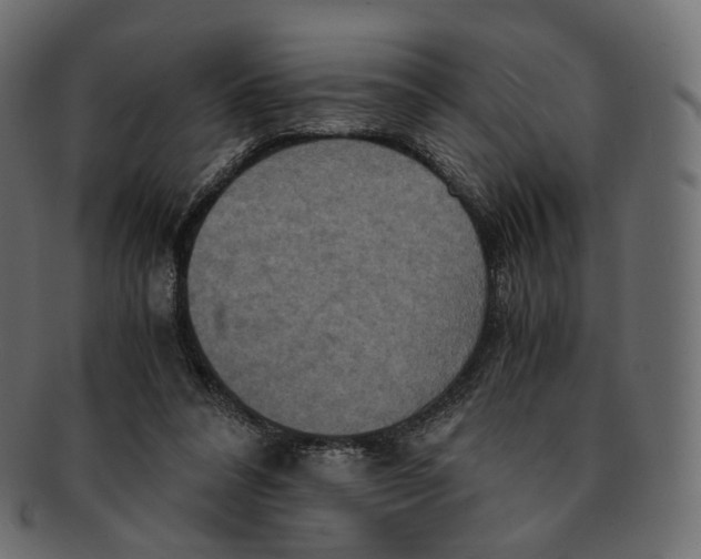 X0000091940304200710031122