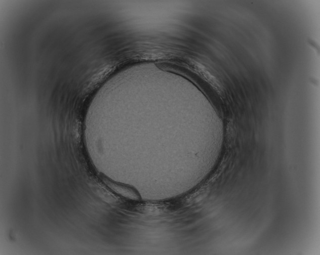 X0000091940305200710031122