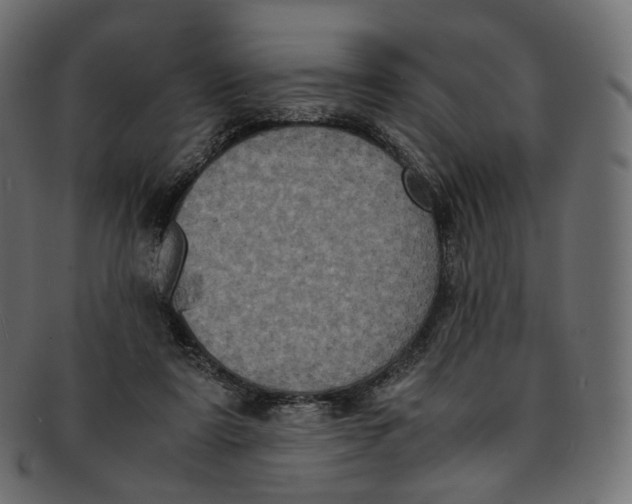 X0000091940307200710031122