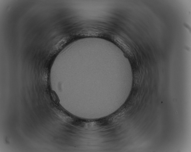 X0000091940309200710031122