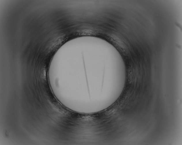 X0000091940310200710031122