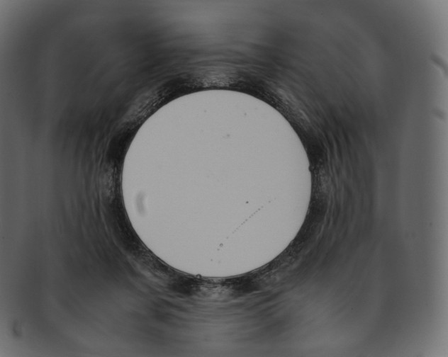 X0000091940311200710031122