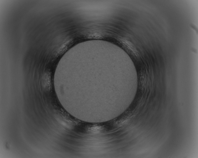 X0000091940312200710031122