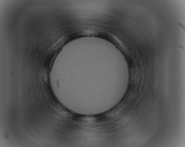 X0000091940313200710031122