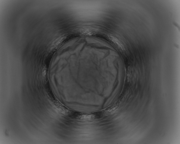 X0000091940314200710031122