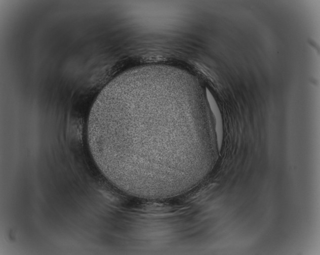 X0000091940315200710031122