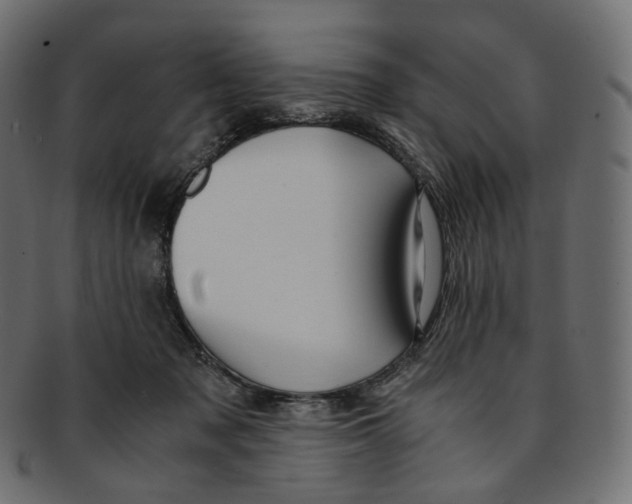 X0000091940317200710031122