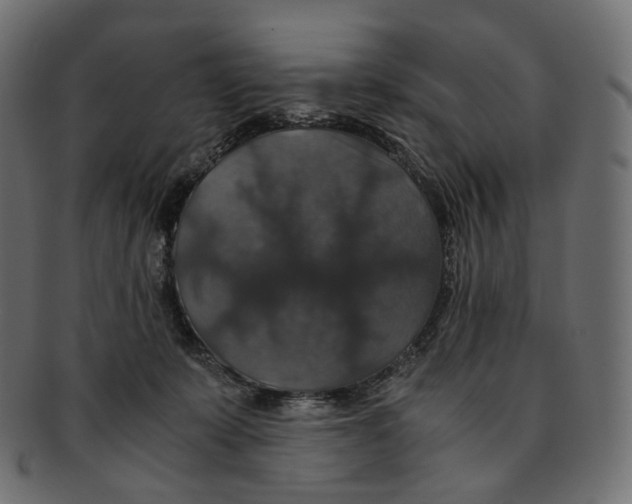 X0000091940319200710031122