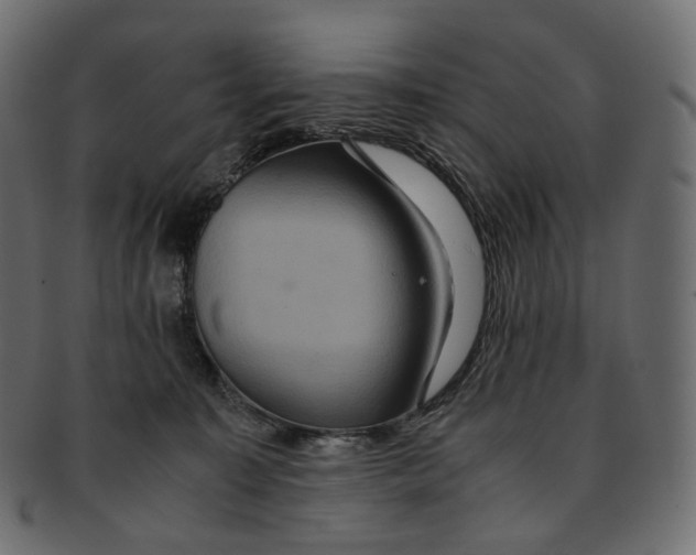 X0000091940323200710031122