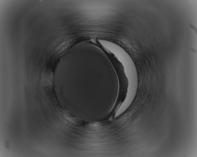 X0000091940325200710031122