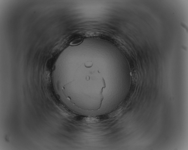 X0000091940327200710031122