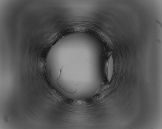 X0000091940329200710031122