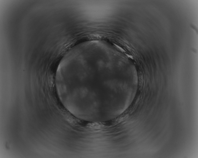 X0000091940331200710031122