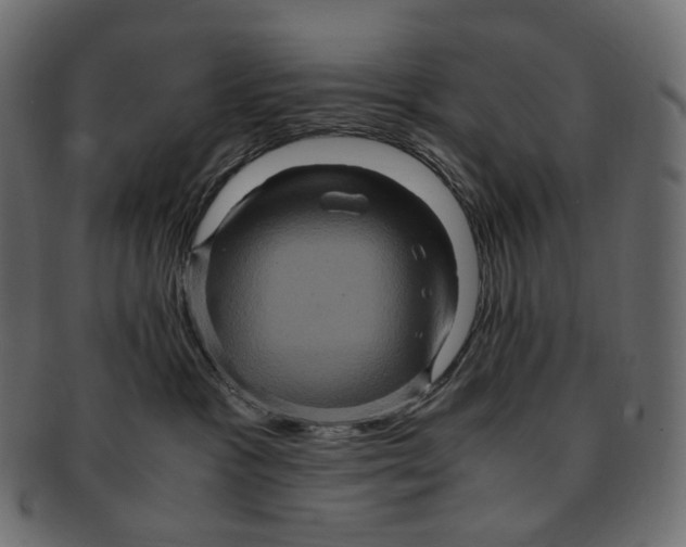 X0000091940333200710031122