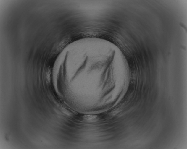 X0000091940334200710031122