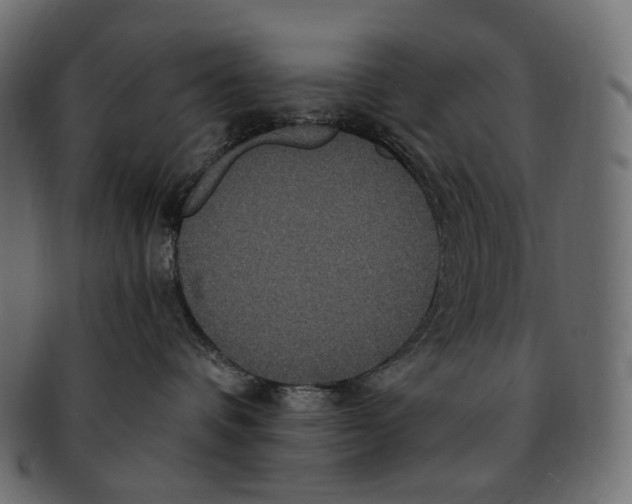 X0000091940336200710031122