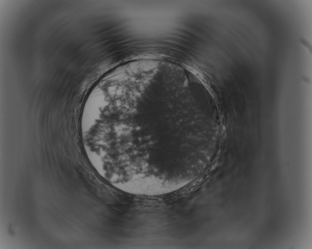 X0000091940337200710031121