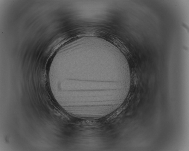 X0000091940338200710031121