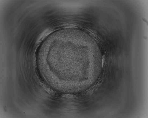 X0000091940339200710031121