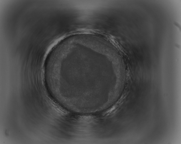 X0000091940342200710031121