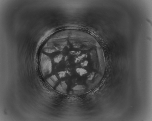 X0000091940343200710031121