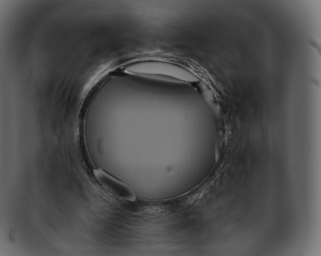 X0000091940344200710031122