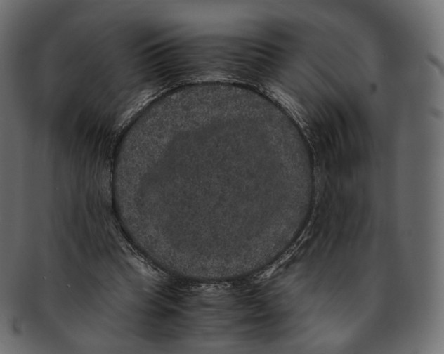 X0000091940345200710031122