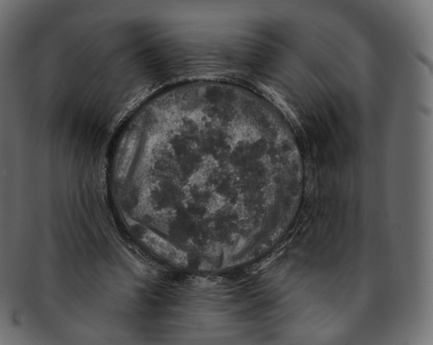 X0000091940346200710031122