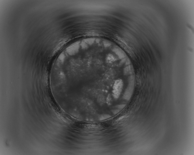 X0000091940347200710031122