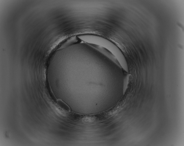 X0000091940350200710031122