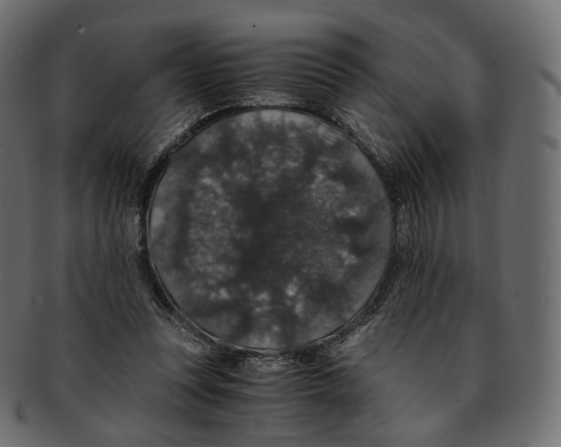 X0000091940351200710031122