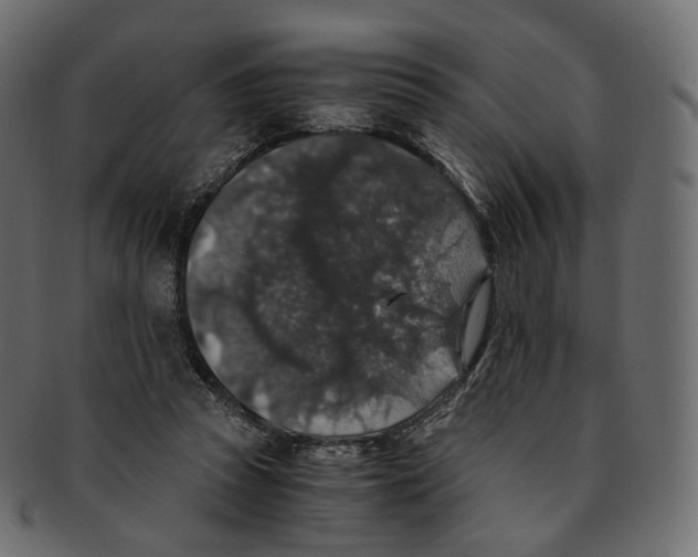 X0000091940353200710031122