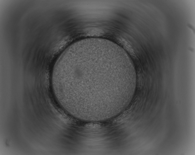 X0000091940354200710031122