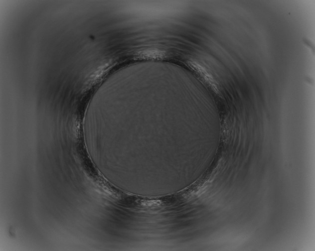 X0000091940355200710031122