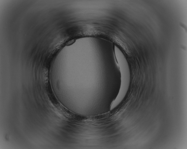 X0000091940356200710031122