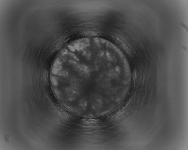 X0000091940359200710031122