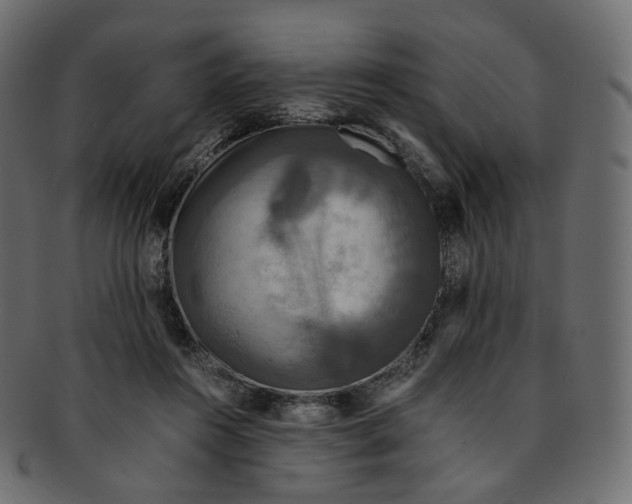 X0000091940360200710031122