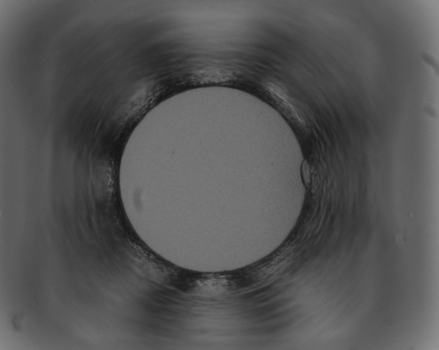 X0000091940362200710031122