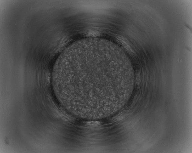 X0000091940363200710031122