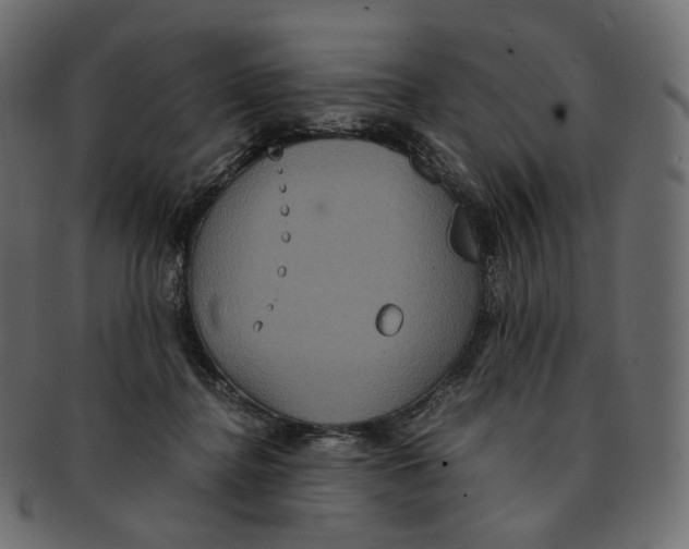 X0000091940364200710031122