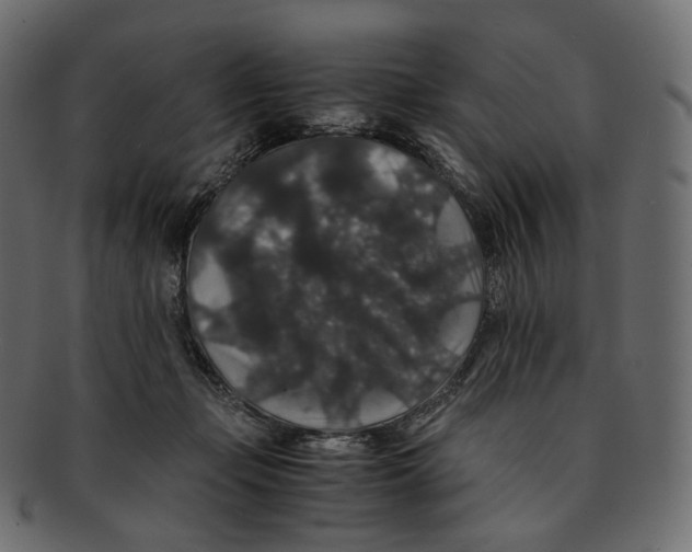 X0000091940365200710031122