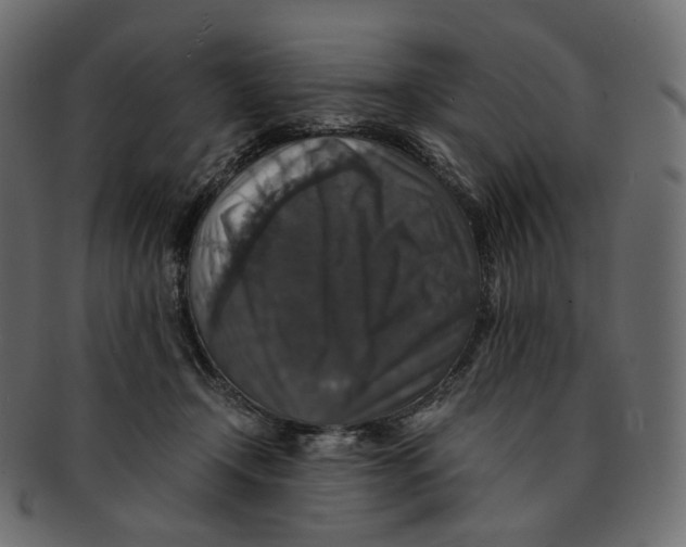 X0000091940366200710031122