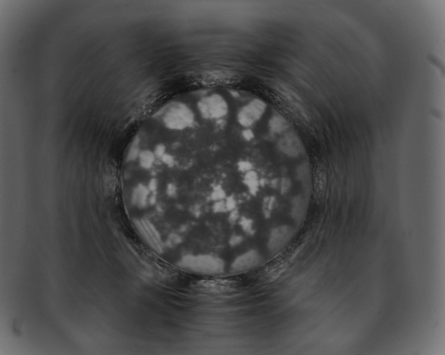 X0000091940367200710031122