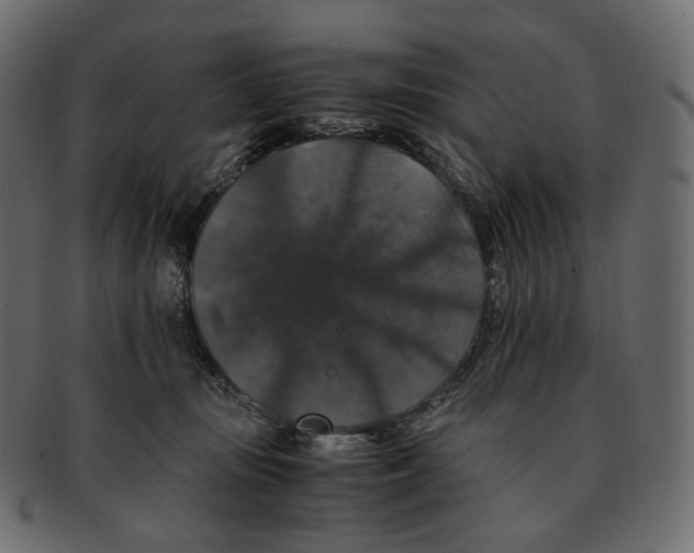 X0000091940371200710031122