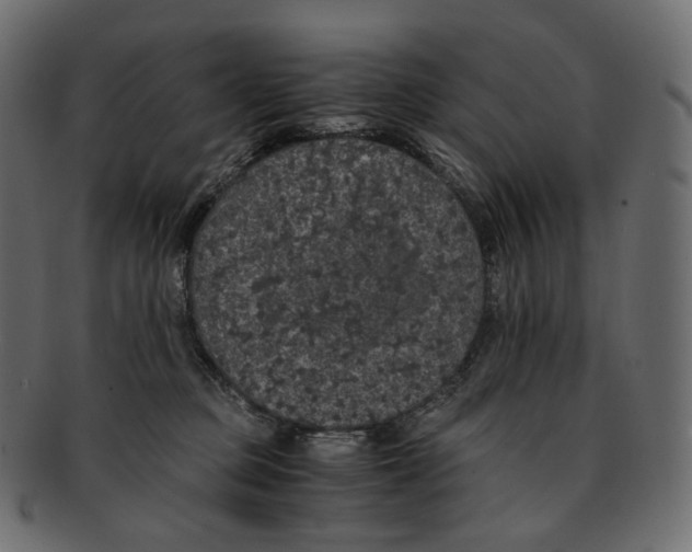 X0000091940373200710031122