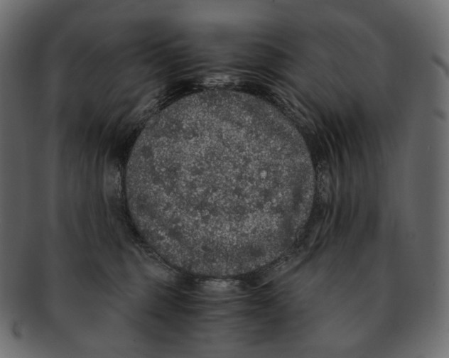 X0000091940375200710031122